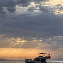 фото из отзыва ID 2737873