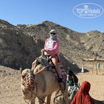 фото из отзыва ID 2737909