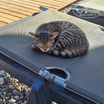 фото из отзыва ID 2737810