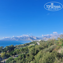 фото из отзыва ID 2737810