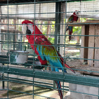 фото из отзыва ID 2737934