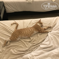 фото из отзыва ID 2737935