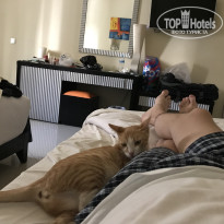 фото из отзыва ID 2737935