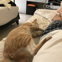 фото из отзыва ID 2737935