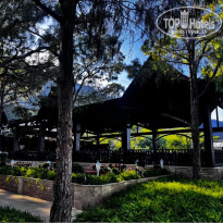 фото из отзыва ID 2737942