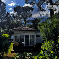 фото из отзыва ID 2737942