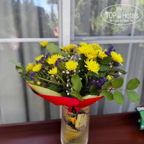 фото из отзыва ID 2737942