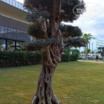 фото из отзыва ID 2737937