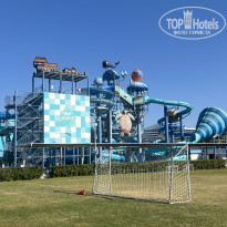 фото из отзыва ID 2737943