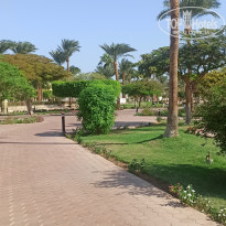 фото из отзыва ID 2737949