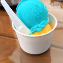 фото из отзыва ID 2737967