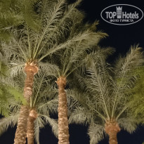 фото из отзыва ID 2737975