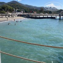 фото из отзыва ID 2737989