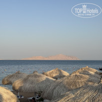 фото из отзыва ID 2738004