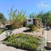 фото из отзыва ID 2738009