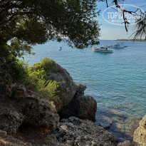 фото из отзыва ID 2738028