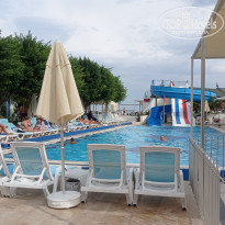 фото из отзыва ID 2737577