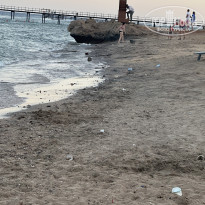 фото из отзыва ID 2738057