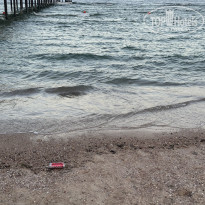 фото из отзыва ID 2738057