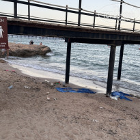 фото из отзыва ID 2738057