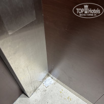 фото из отзыва ID 2738057