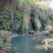 фото из отзыва ID 2738063