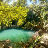 фото из отзыва ID 2738063