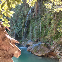 фото из отзыва ID 2738063