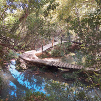 фото из отзыва ID 2738063