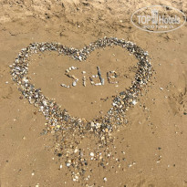 фото из отзыва ID 2738063