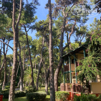 фото из отзыва ID 2738069