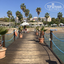 фото из отзыва ID 2738069