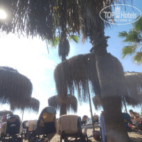 фото из отзыва ID 2738076