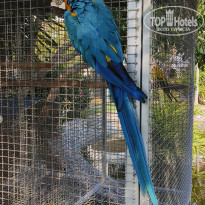 фото из отзыва ID 2738082