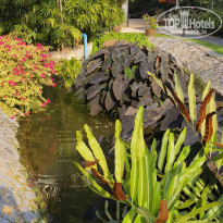 фото из отзыва ID 2738082