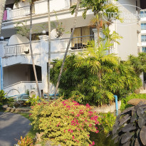 фото из отзыва ID 2738082