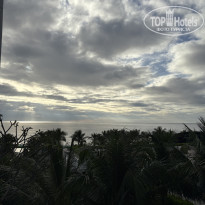 фото из отзыва ID 2738094