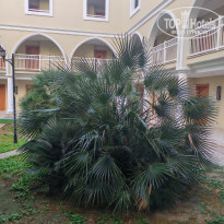 фото из отзыва ID 2738041