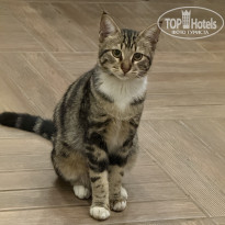 фото из отзыва ID 2738110