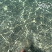 фото из отзыва ID 2738110