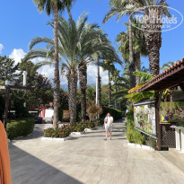 фото из отзыва ID 2738107