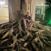 фото из отзыва ID 2738107