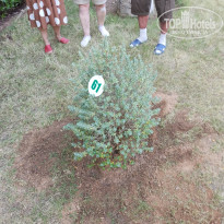 фото из отзыва ID 2738135