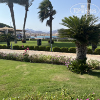 фото из отзыва ID 2738163