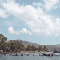 фото из отзыва ID 2738164