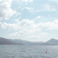 фото из отзыва ID 2738164