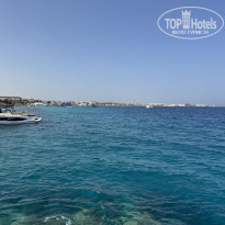 фото из отзыва ID 2738172