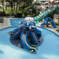 фото из отзыва ID 2738170