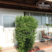 фото из отзыва ID 2738183