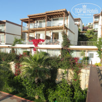 фото из отзыва ID 2738183